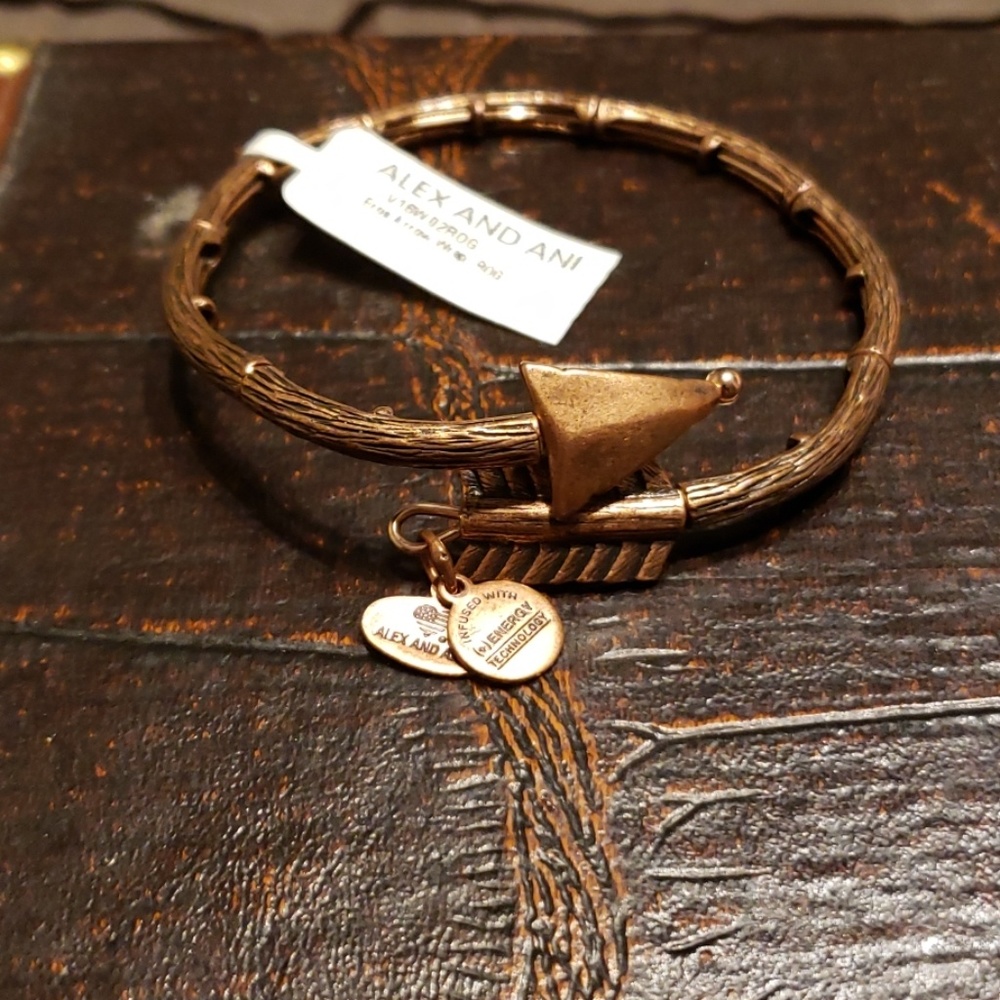 Alex and Ani Eros arrow bracelet